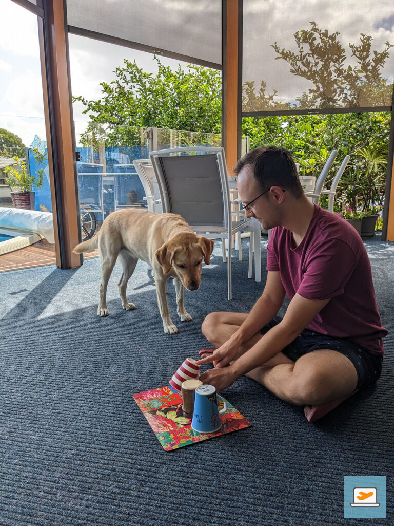 Die schlauste war sie aber nicht, weil sie das Platzieren eines Leckerli unter einem der Becher etwas überfordert hat