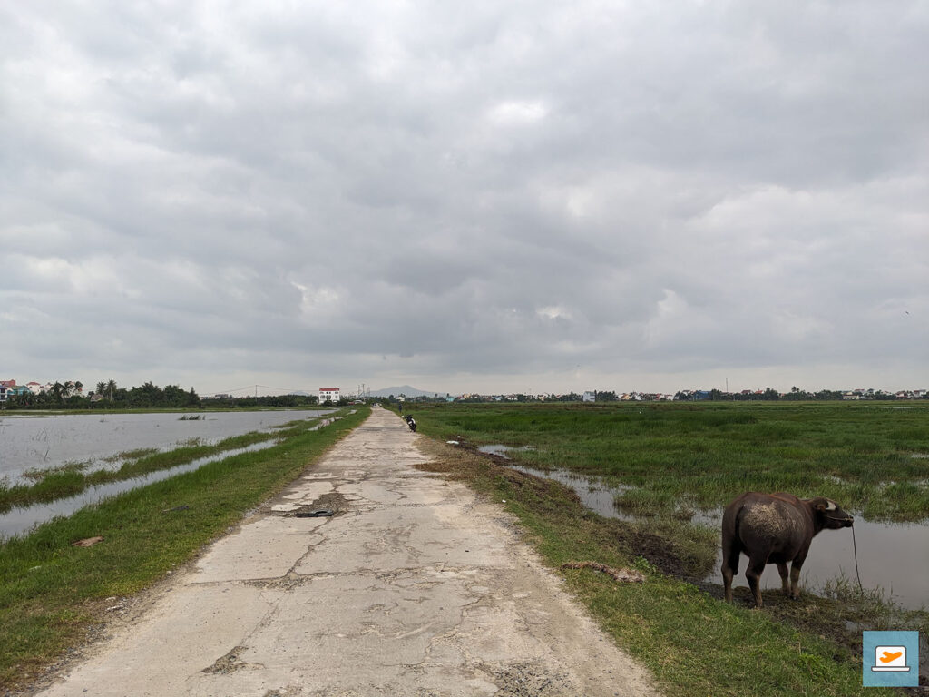 Auch das ein oder andere (Nutz)tier war dabei nicht weit