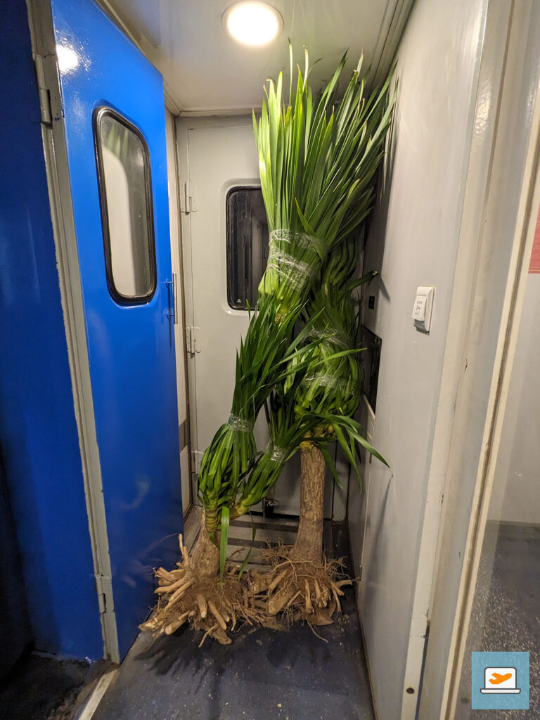 Wenn man durch den Zug gestreift ist, hat man so manch eher ungewöhnliches Gepäck gefunden