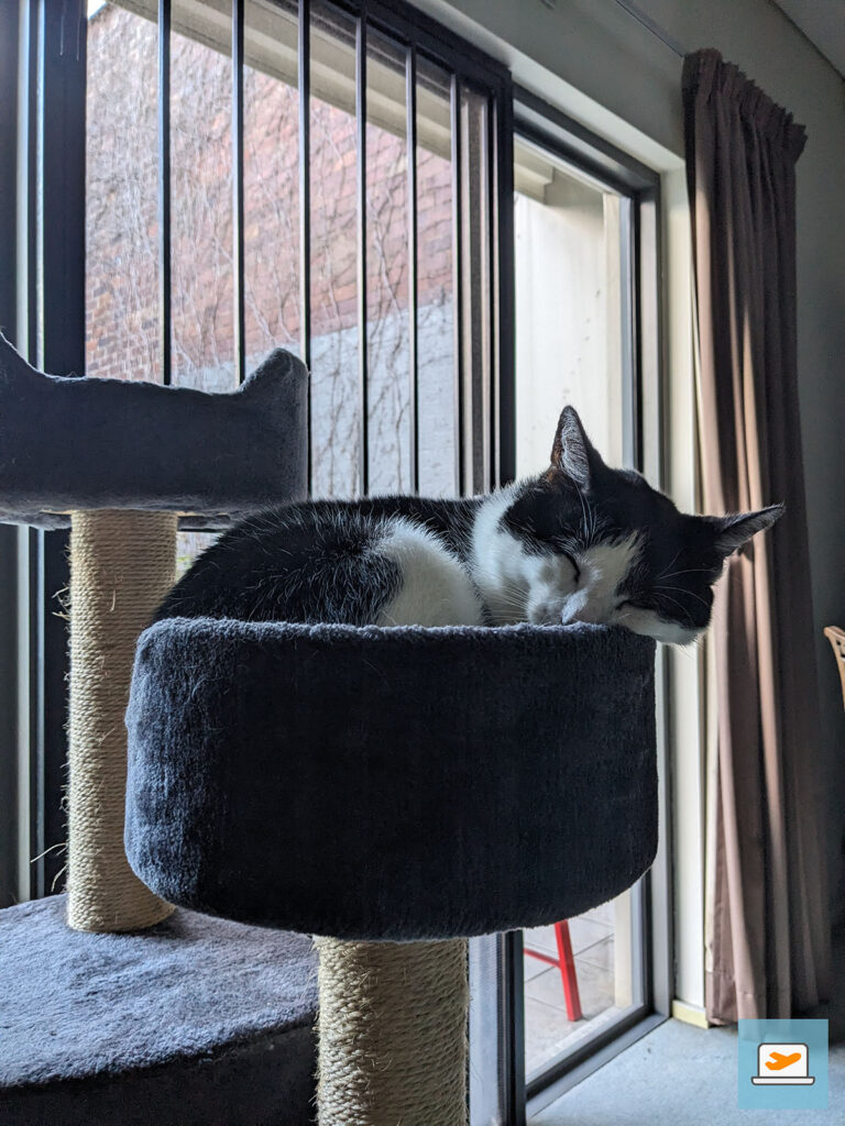 Ist er nicht knuffig!