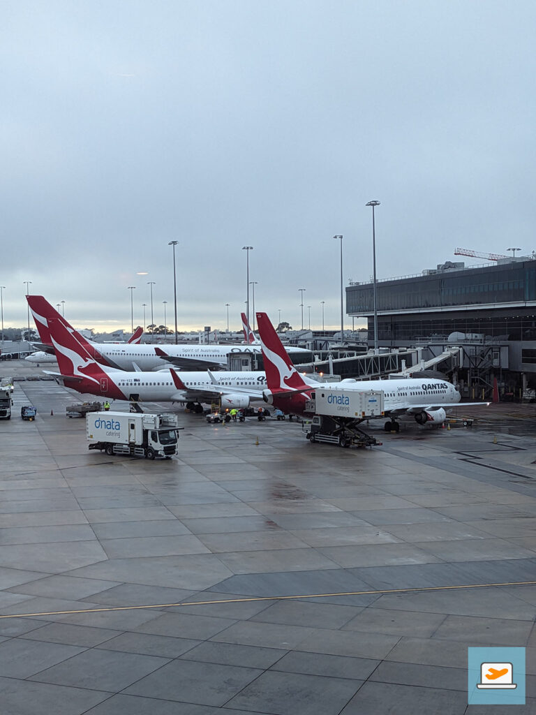 The Flying Kangaroo