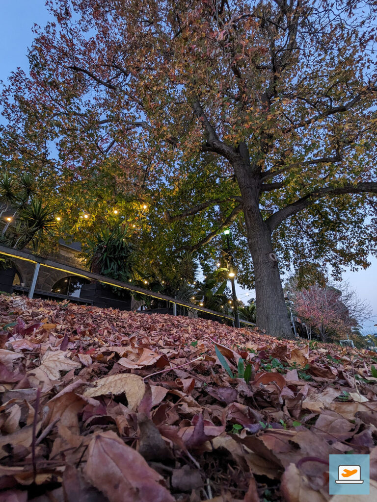 Herbst ist ein mir über die letzten Jahre weitestgehend unbekannte Konzept geworden